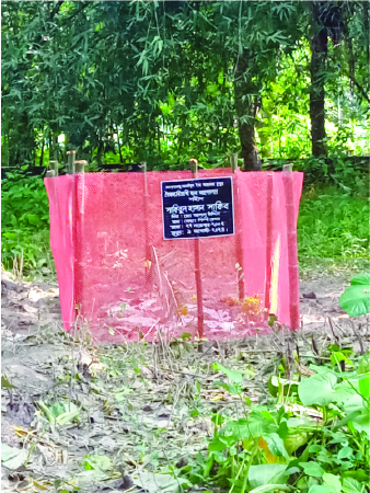 Image of সাকিবুল হাসান সাকিব